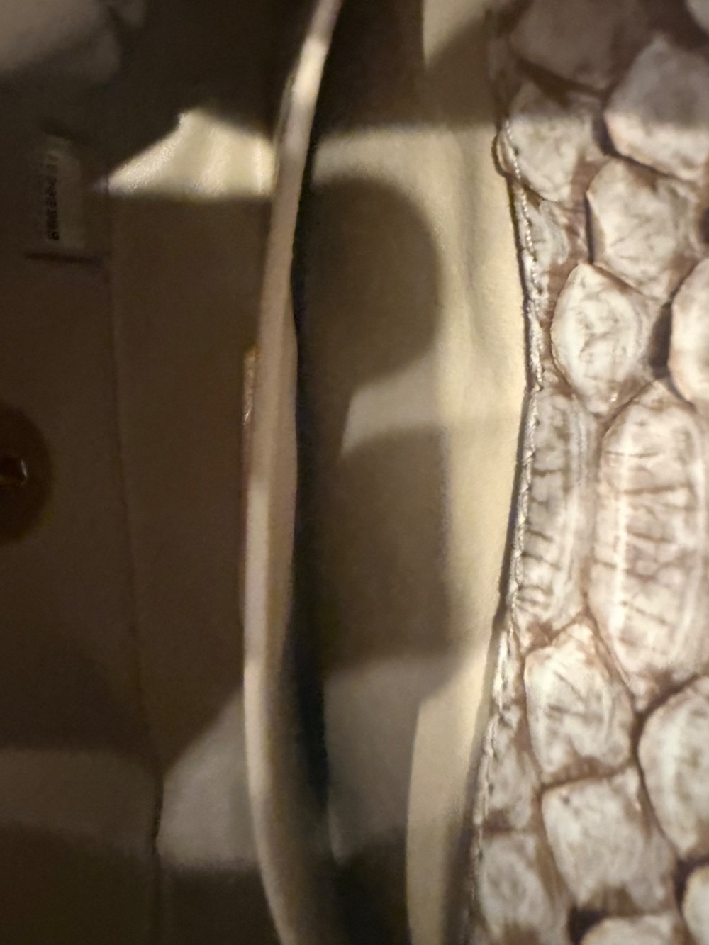 Chanel Python mini flap bag - Picture 13 of 15